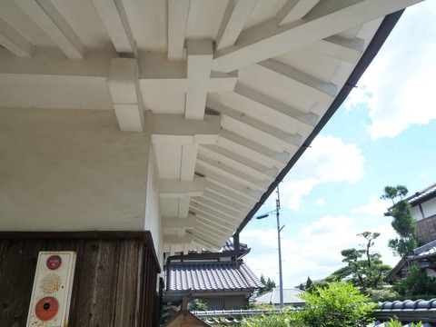 20240818園田城 (133)