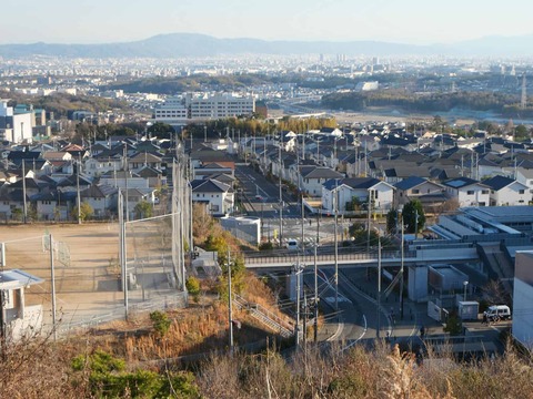 20260109彩都 (47)