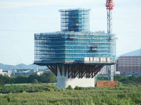 20250927新名神国道堤防 (43)