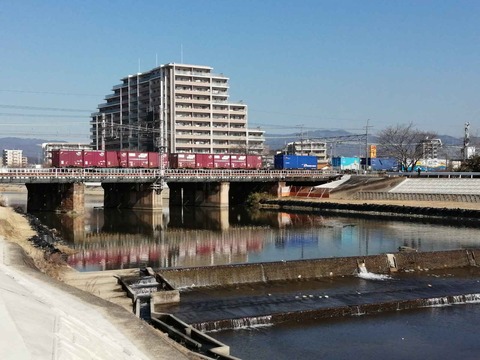 20210206kamotu1 (9)