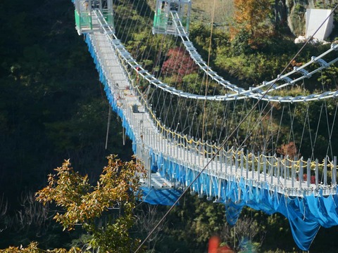 20241201吊り橋 (4)
