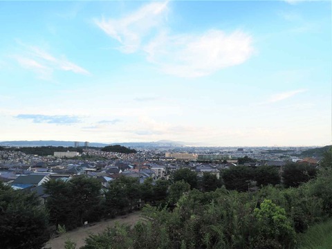 20220728景色 (6)