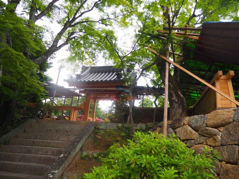 20220611安威川ダム_大門寺 (23)