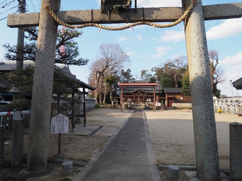 20230205鳴門部屋 (2)