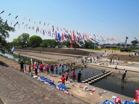 20250426こいのぼり (8)