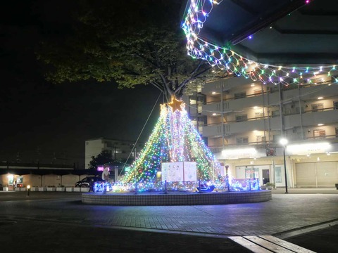 20241118富田団地イルミ (7)