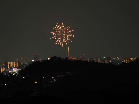 20220827なにわ淀川花火 (145)