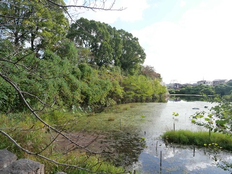 20241104淀城 (84)