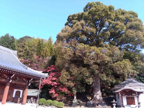 kouyo2017_2