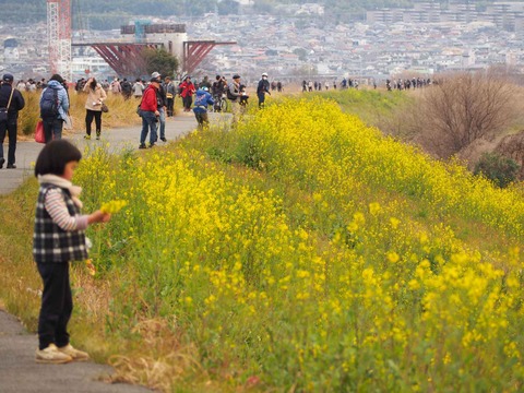 20240218ヨシ焼き (22)
