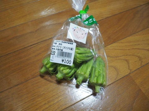 29239907ダビデの星 (1)