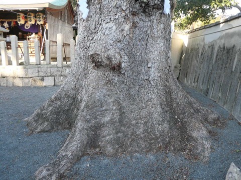 20250101畑山神社 (12)