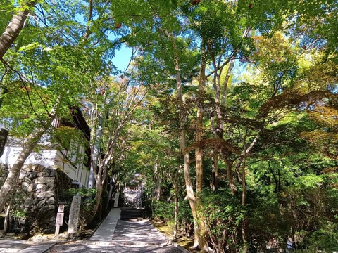 20251029神峯山寺 (12)