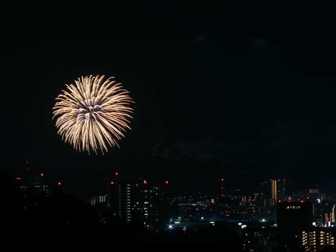 20250921くらわんか花火 (113)