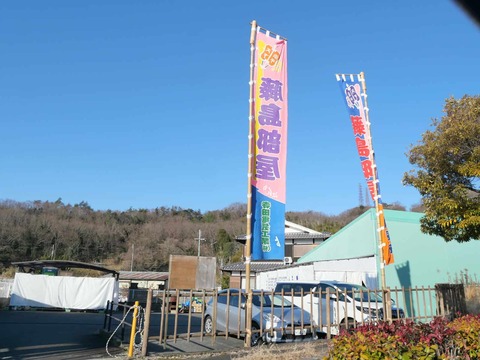 20250220藤島部屋 (1)