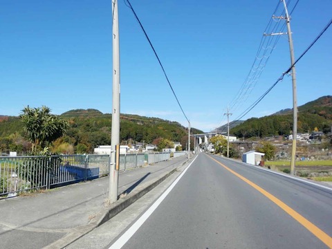 20241207府道6号紅葉 (5)