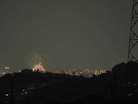 20220827なにわ淀川花火 (4)