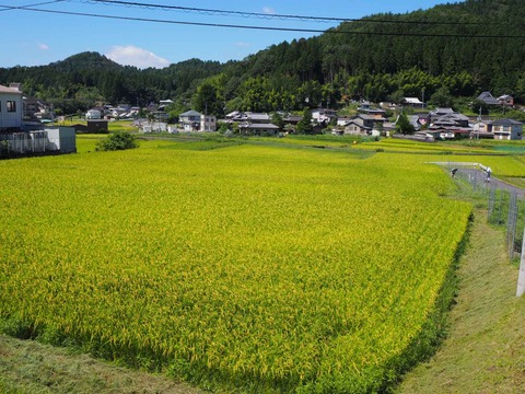 20210828kasida (1)