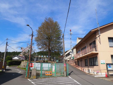 20240413樫田大桂