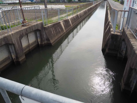 20240522西面水路 (3)