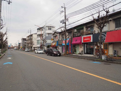 20240331irotohima (4)