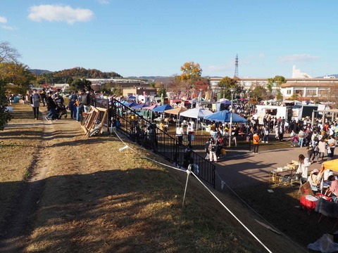 20221127はにコット (19)