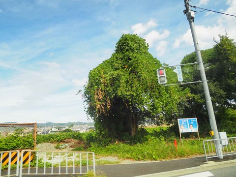 20230923クズ (3)