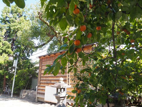 20221023野見神社 (10)