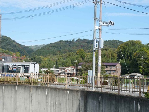 20251111摂津峡方面 (7)
