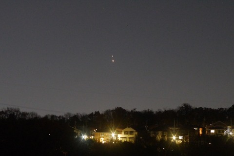 20201219dosei_mokusei3