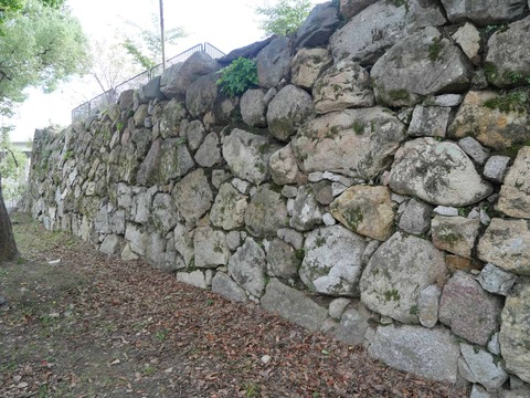 20241104淀城 (28)