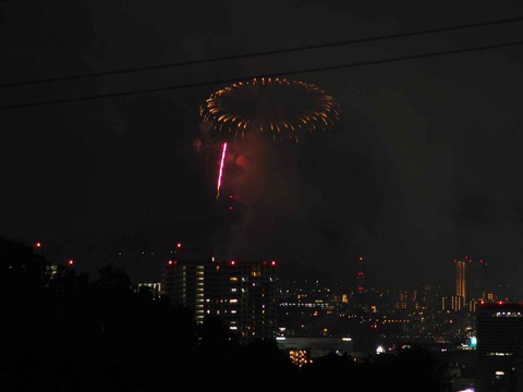 20220904くらわんか花火 (166)