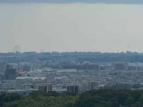 20260813公園墓地 (9)