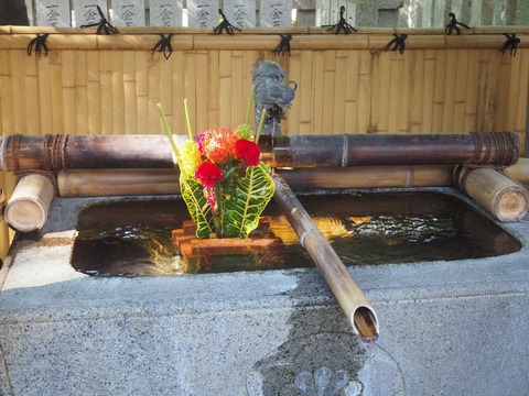 20220807野見神社 (2)