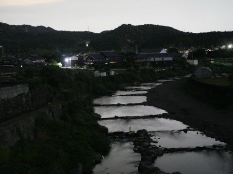 20260519ホタル2
