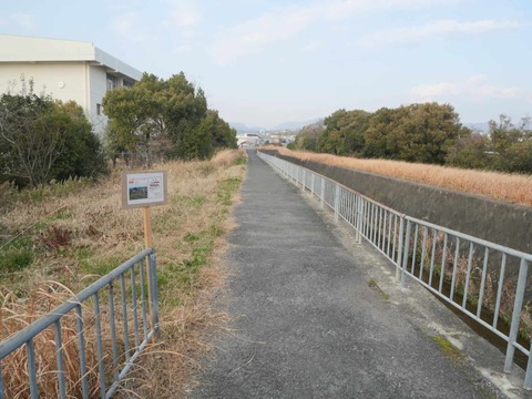 20260117真如寺川 (7)