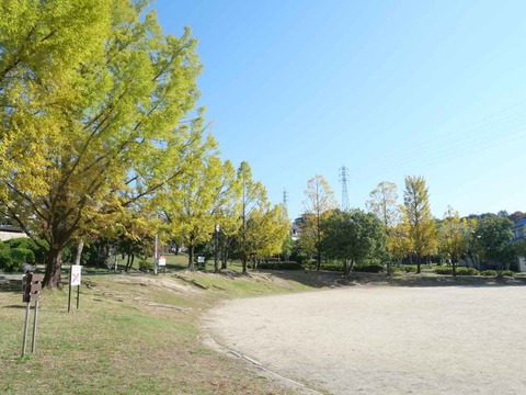 20251108緑ヶ丘 (5)