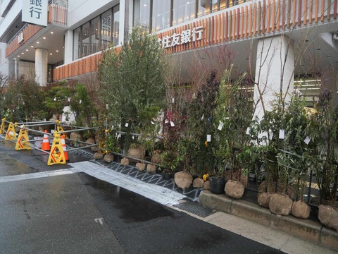 20260225天神祭り (160)