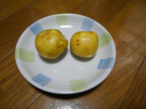 20241210じゃがいも (4)