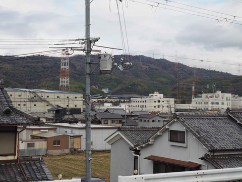 20240218ヨシ焼き (43)