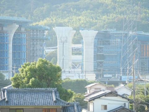 20250927新名神国道堤防 (59)