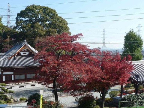kouyo2017_3