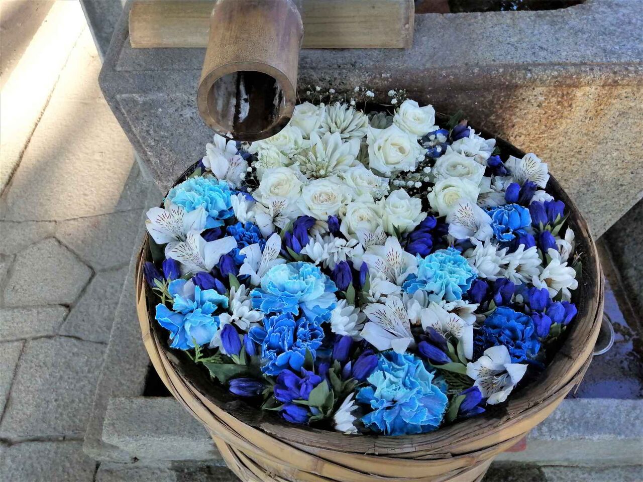 野見神社の花手水 夏バージョンその後 7月25日 高槻network新聞 野見神社の花手水 夏バージョンその後 7月25日 高槻network新聞