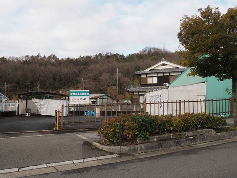 20240224藤島部屋 (2)