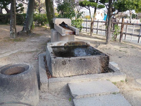 20200130高槻城公園梅 (10)