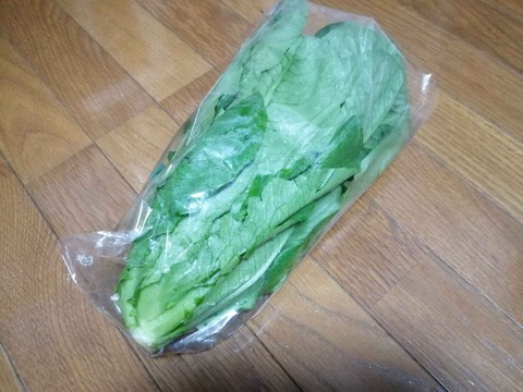 20231210ロマリア (2)