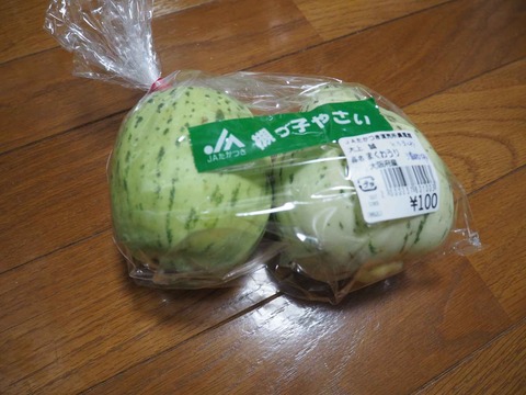 20230902とらまくわ (1)