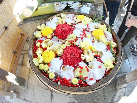 20250111高槻えびす祭り (16)