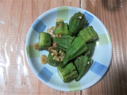 29239907ダビデの星 (6)