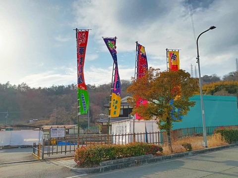 20260220藤島部屋 (4)